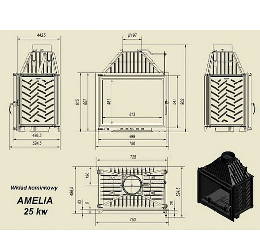 Каминная топка Amelia прямое стекло_1